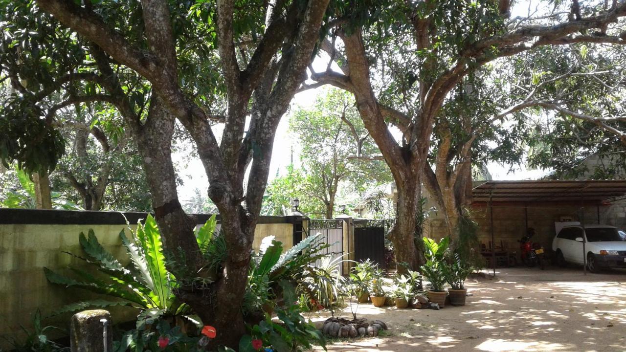 Water Front Home Stay And Resort アヌラーダプラ エクステリア 写真